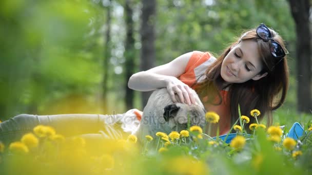 Pug doğurmak köpek. Bir kız bir köpek yeşil çimenlerin üzerinde yürüyor. — Stok video