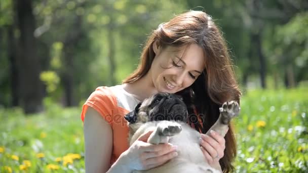 Dog of the Pug breed. A girl is walking a dog on a green lawn. — Stock Video