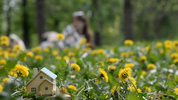 Fastigheter. En liten privat hus står på en grön gräsmatta. — Stockvideo