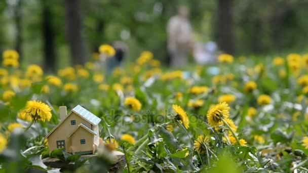 房地产。一个小小的私人住宅站在绿色的草坪上. — 图库视频影像