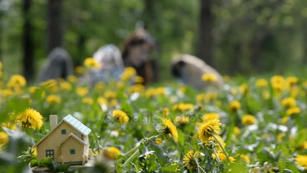 Onroerend goed. Een kleine privé-huis staat op een groen gazon. — Stockvideo