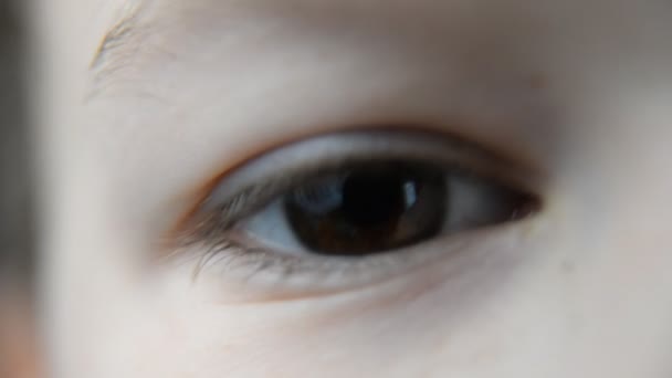 Macro. L'occhio di un ragazzo. Allievo — Video Stock
