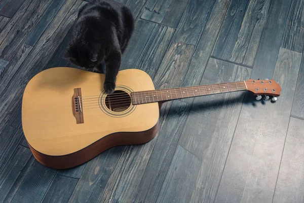 Black cat sitting near a guitar