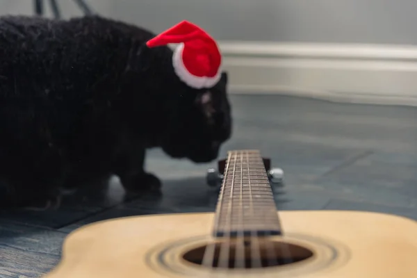 Gatto nero in un cappello di Natale — Foto Stock