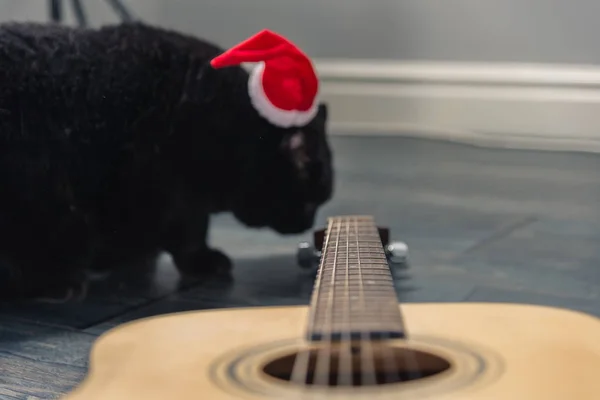 Black cat in a Christmas hat — Stock Photo, Image