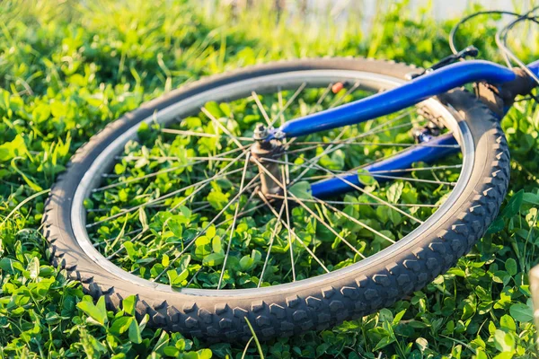 Bicicletta sdraiata sull'erba — Foto Stock