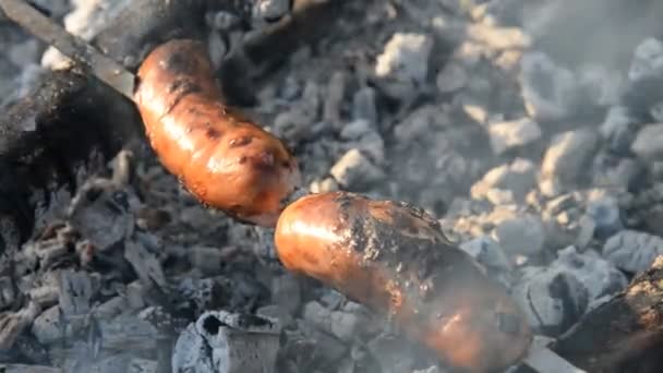 在自然的野餐。在火刑柱煮香肠 — 图库视频影像