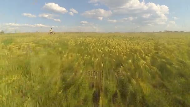 Meisje fietsen op het veld — Stockvideo