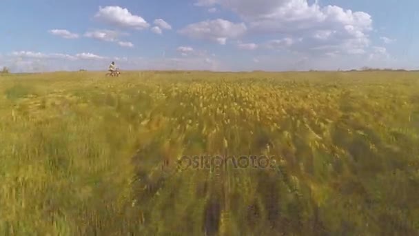 Menina andando de bicicleta no campo — Vídeo de Stock