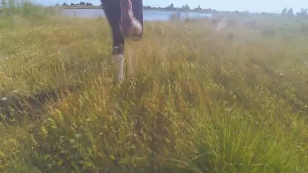 La chica está corriendo a través del campo — Vídeo de stock