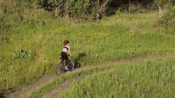 Dívka na koni na horském kole v poli — Stock video