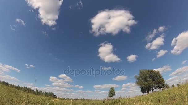 Timelapse. Clouds pass through the sky — Stock Video