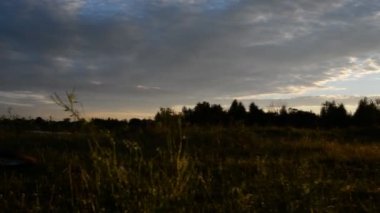 Kız ve adam bir cep telefonu arıyorum doğada