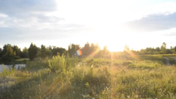 Meisje en jongen in de natuur op zoek in een mobiele telefoon — Stockvideo