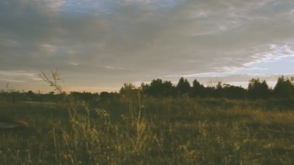 Chica y chico en la naturaleza mirando en un teléfono móvil — Vídeo de stock