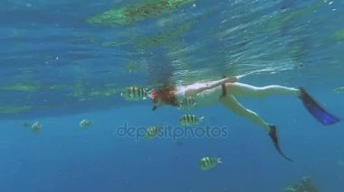 Snorkeling. Bir kız bir maske ve tüp denizde yüzen
