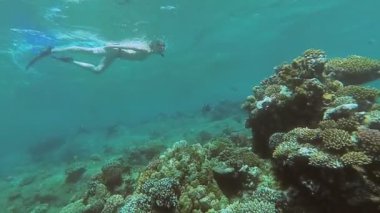 Snorkeling. Bir kız bir maske ve tüp denizde yüzen