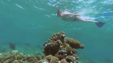 Snorkeling. Bir kız bir maske ve tüp denizde yüzen