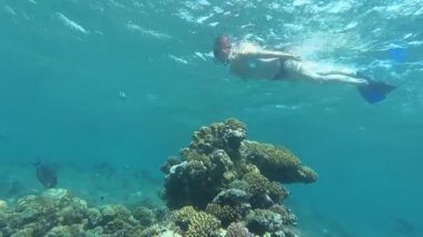 Snorkeling. Bir kız bir maske ve tüp denizde yüzen