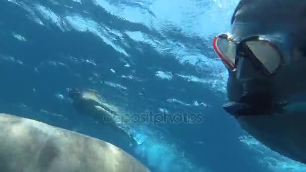 Doejong. De man maakt selfie met Doejong. Rode Zee. Marsa Alam. — Stockvideo