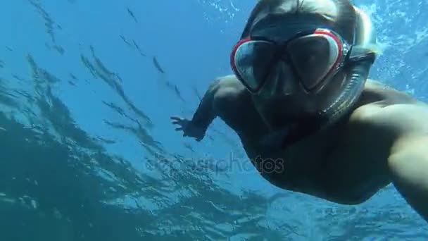 Snorkeling. El tipo de la máscara y el tubo flota en el mar — Vídeos de Stock