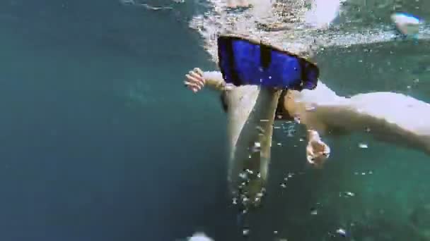 Snorkeling. Bir kız bir maske ve tüp denizde yüzen — Stok video