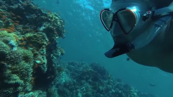 Κολύμβηση με αναπνευστήρα. Ο τύπος για τη μάσκα και σωλήνα που επιπλέει στη θάλασσα — Αρχείο Βίντεο