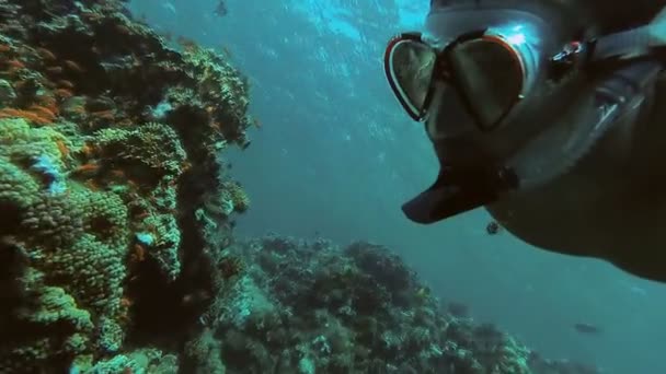 Snorker. Fyren med maske og rør flyter i havet – stockvideo