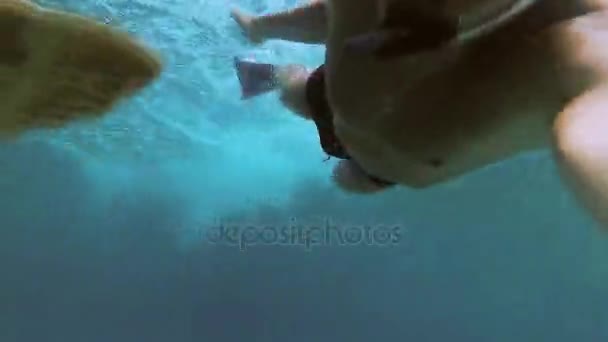 De man maakt een selfie met een zeeschildpad. Rode Zee. Marsa Alam. — Stockvideo