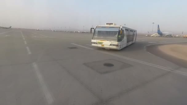 Egypten. Hurghada - 19 juli. 2017. kontroll passagerares bagage. Flyg Hurghada - Kiev. — Stockvideo