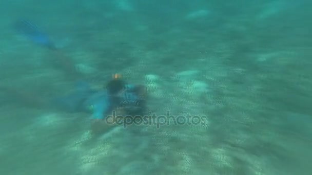 EGYPT. MARSA ALAM - July 19. 2017 Excursion of snorkeling. Tourists are looking to shoot and look at dugong — Stock Video