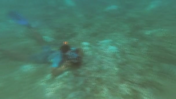 Egypte. Marsa Alam - 19 juli. 2017 excursie van snorkelen. Toeristen op zoek bent om te schieten en kijken naar Doejong — Stockvideo