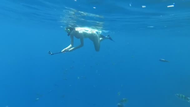 Дівчина робить селфі під водою — стокове відео