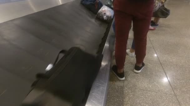 Odbioru bagażu na lotnisku — Wideo stockowe