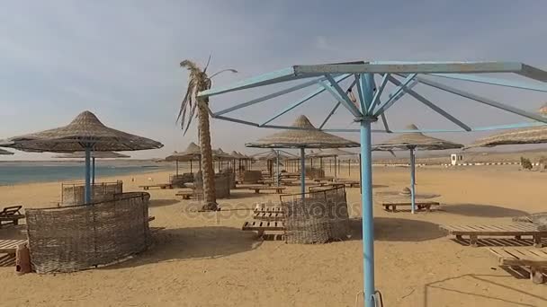 Terk edilmiş plaj. Mısır. Marsa Alam — Stok video