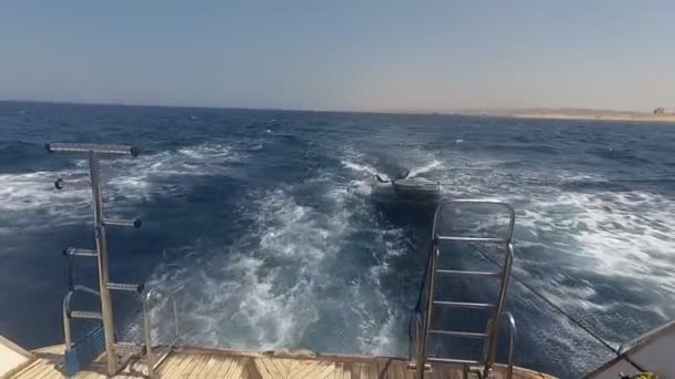 Jacht met duikuitrusting. Rode Zee. Marsa Alam — Stockvideo