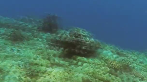 Jacht met duikuitrusting. Rode Zee. Marsa Alam — Stockvideo