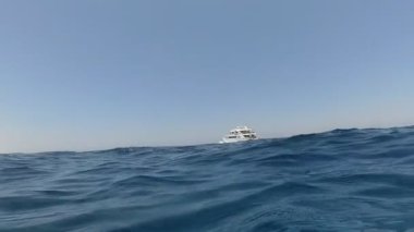 Deniz yat yelken
