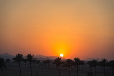 Dawn'la birlikte deniz. Mısır'daki Beach
