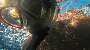 Snorkeling. Adam maske ve tüp denizde yüzen