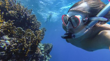 Snorkeling. Adam maske ve tüp denizde yüzen