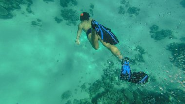 Snorkeling. Adam maske ve tüp denizde yüzen