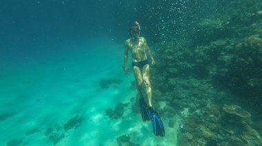 Snorkeling. Adam maske ve tüp denizde yüzen