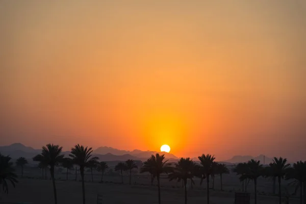 Dawn met de zee. Strand in Egypte — Stockfoto