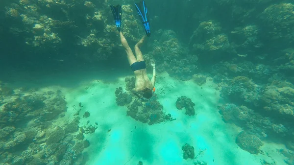 Snorkel. O tipo da máscara e do tubo flutua no mar. — Fotografia de Stock