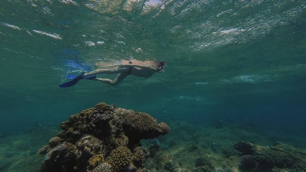 Snorkling. En flicka i en mask och tub flyter i havet — Stockfoto