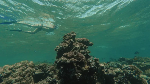 Snorkel. Uma menina com uma máscara e tubo flutua no mar — Fotografia de Stock