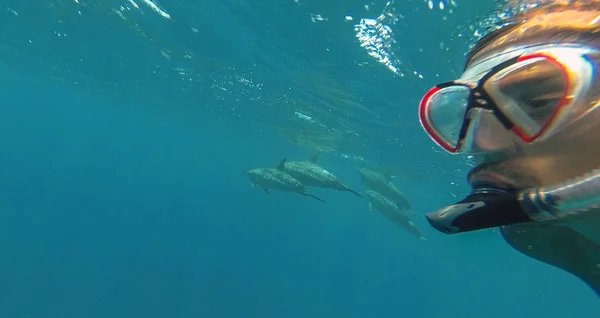 Killen gör selfie med delfinerna i det öppna havet. Röda havet. — Stockfoto