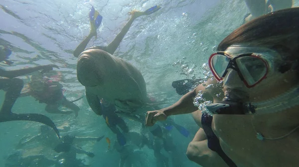 Dugong. El tipo hace selfie con Dugong. Mar Rojo. Marsa Alam . — Foto de Stock