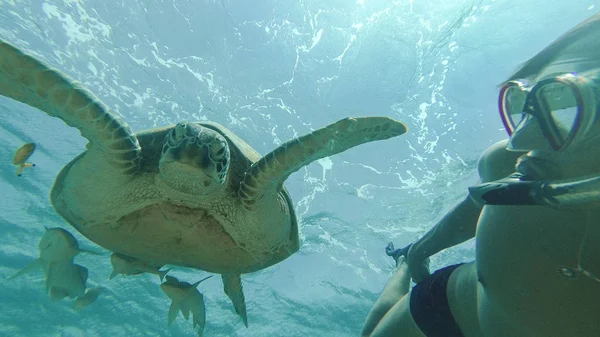 Ten dělá selfie s mořská želva. Rudé moře. Marsa Alam. — Stock fotografie